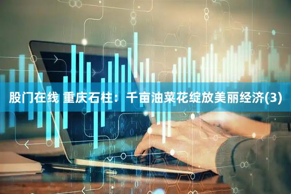 股门在线 重庆石柱：千亩油菜花绽放美丽经济(3)