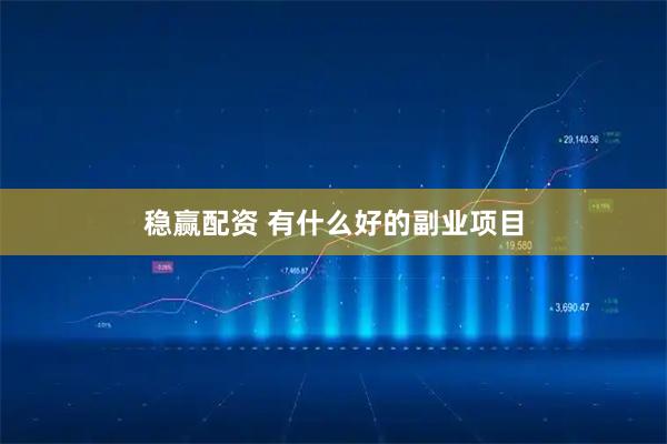 稳赢配资 有什么好的副业项目